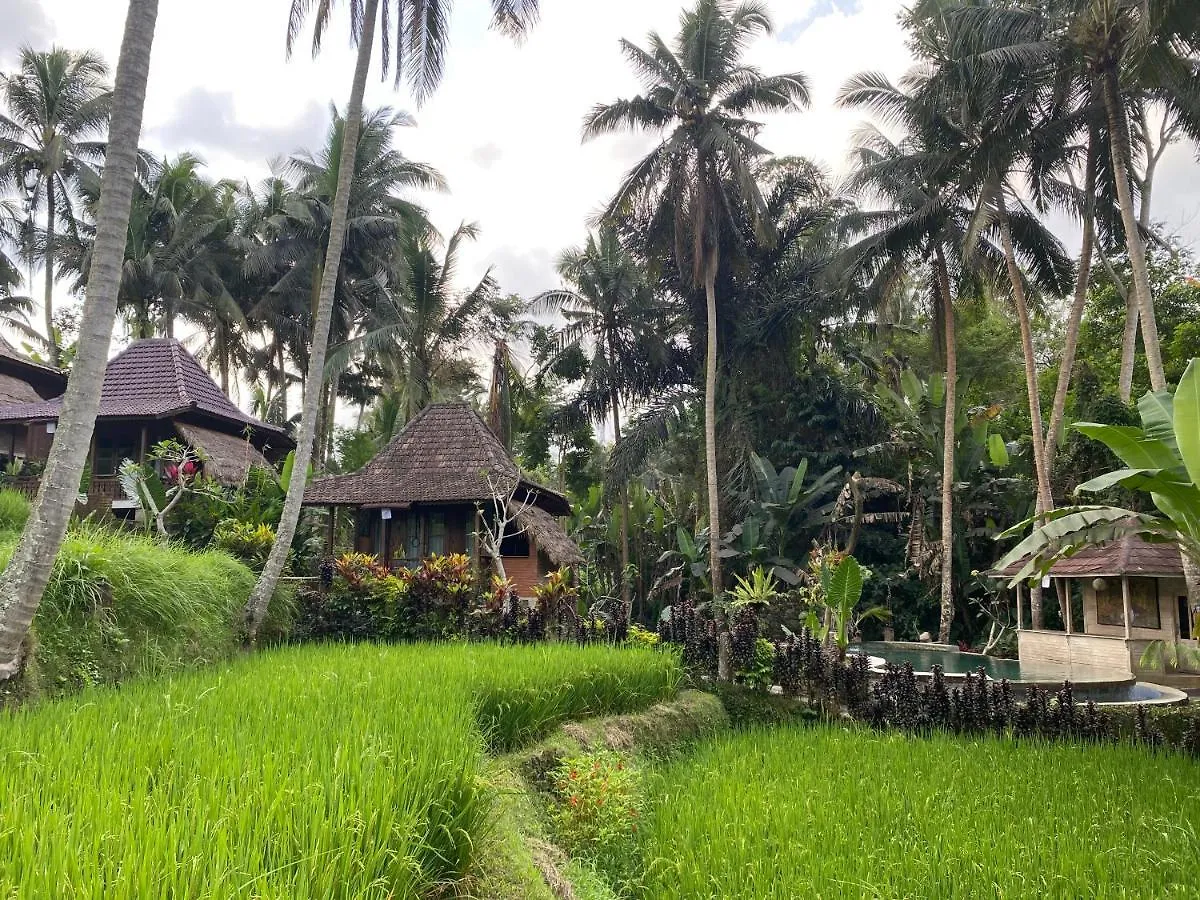 *** Tatil parkı Junjungan Suite Ubud Endonezya