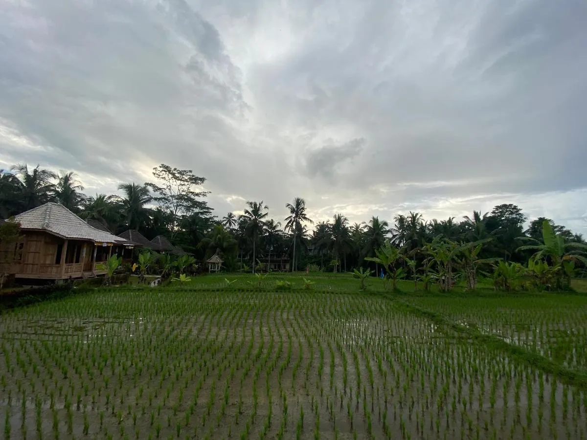 Junjungan Suite Ubud