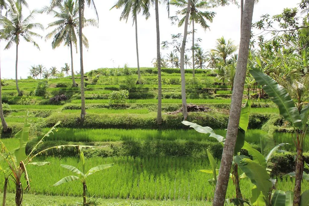 Tatil parkı Junjungan Suite Ubud