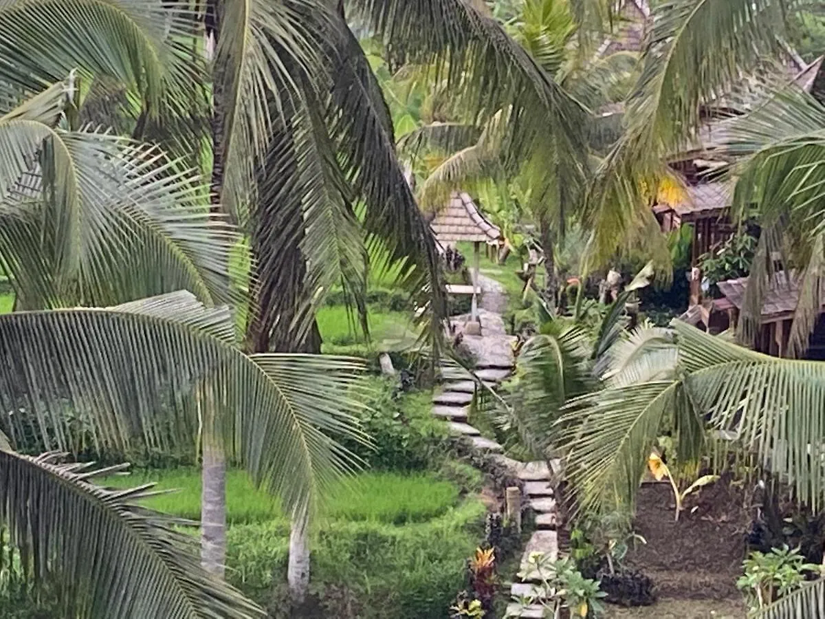*** Holiday park Junjungan Suite Ubud  Indonesia