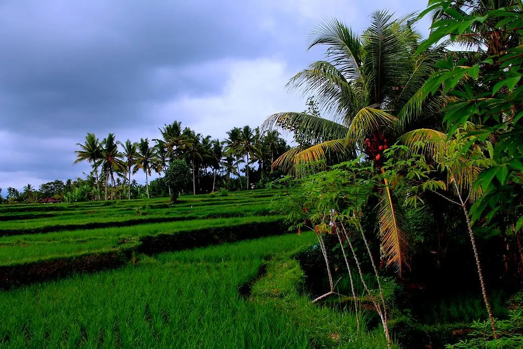 Junjungan Suite Ubud 3*,