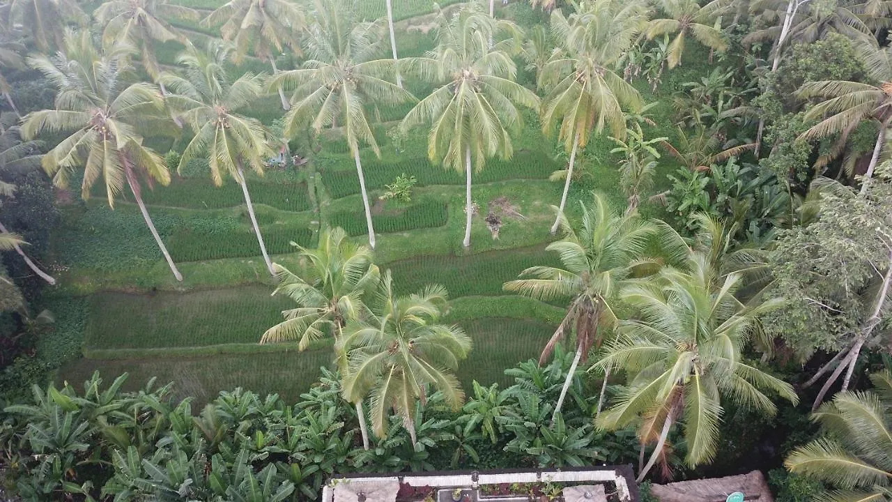Holiday park Junjungan Suite Ubud